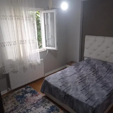 Goldwinn Turizm * Trabzon